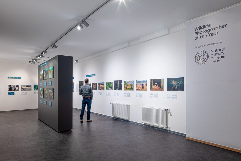 Blick in die Ausstellung "Wildlife Photographer of the Year 2023"