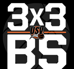 3x3 Braunschweig Logo