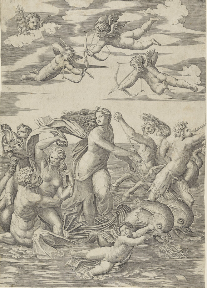 Marcantonio Raimondi (um 1480 - um 1530) nach Raffael, Galatea, 1515-1516, HAUM, Kupferstichkabinett